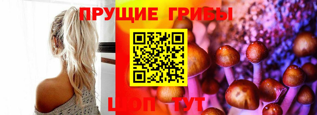 закладки  Вход с VPN  Дербент  Псилоцибиновые грибы Psilocybine cubensis 