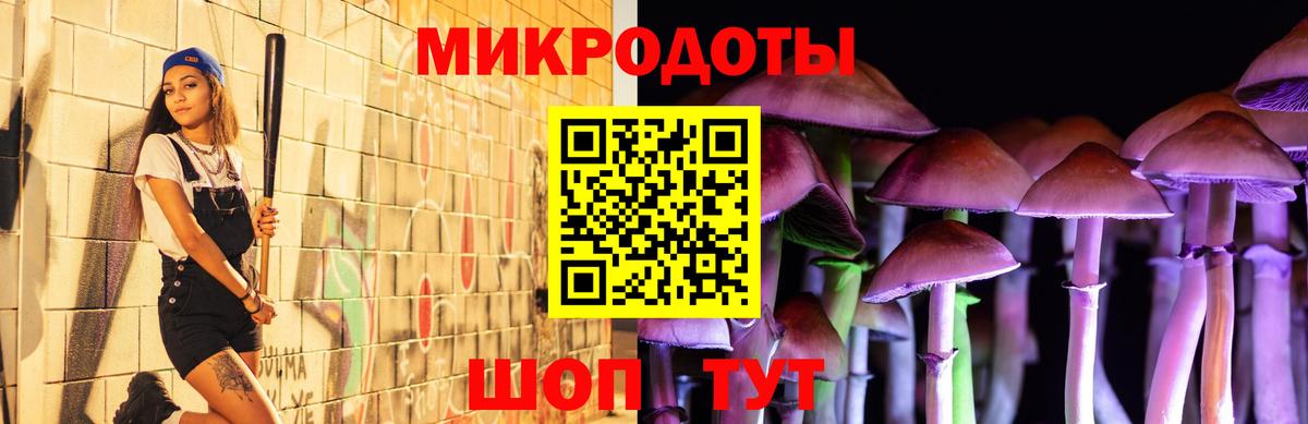Галлюциногенные грибы Psilocybine cubensis Дербент