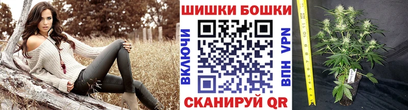 Марихуана семена где найти наркотики Дербент